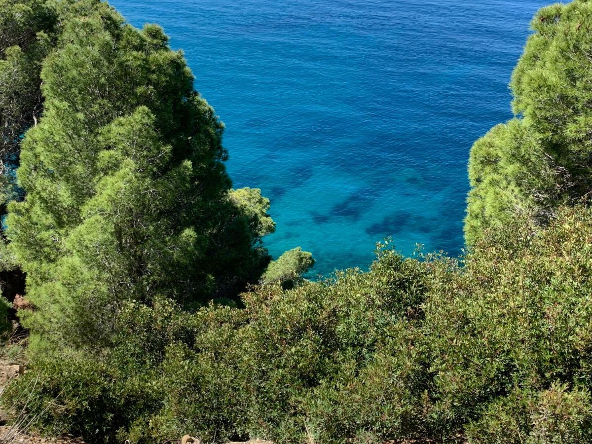 Casa Trezeni Διαμέρισμα Santa Maria di Castellabate Εξωτερικό φωτογραφία