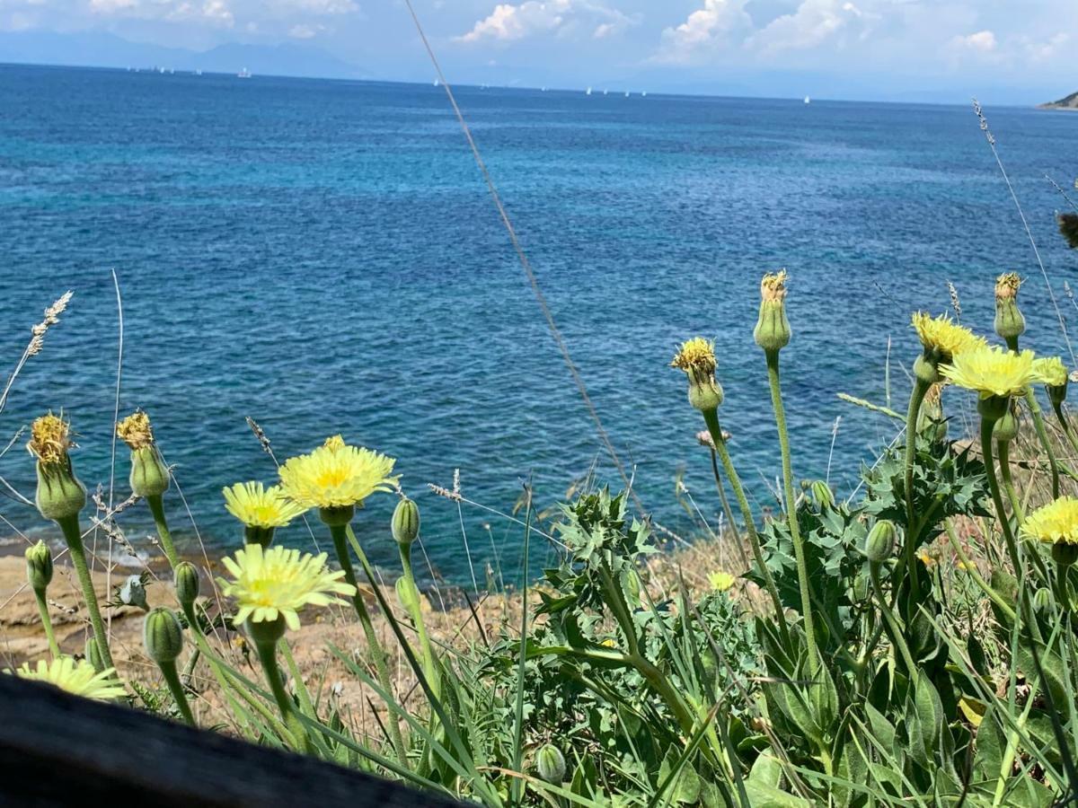 Casa Trezeni Διαμέρισμα Santa Maria di Castellabate Εξωτερικό φωτογραφία